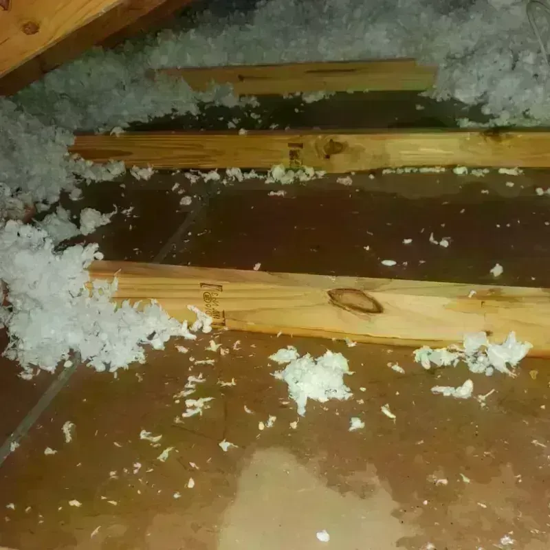 Attic Water Damage in Drumright, OK